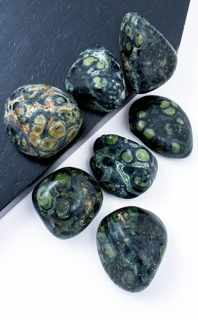 Tumbled Stones Leopard Skin Jasper Crystals Australia