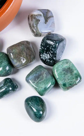 Tumbled Stones | Moss Agate-Crystals-Tragic Beautiful