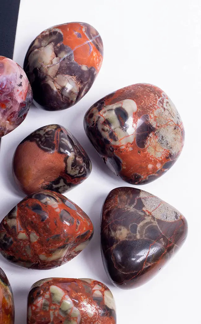 Tumbled Stones | Mushroom Rhyolite | Premium XL-Tumble Stones-Tragic Beautiful