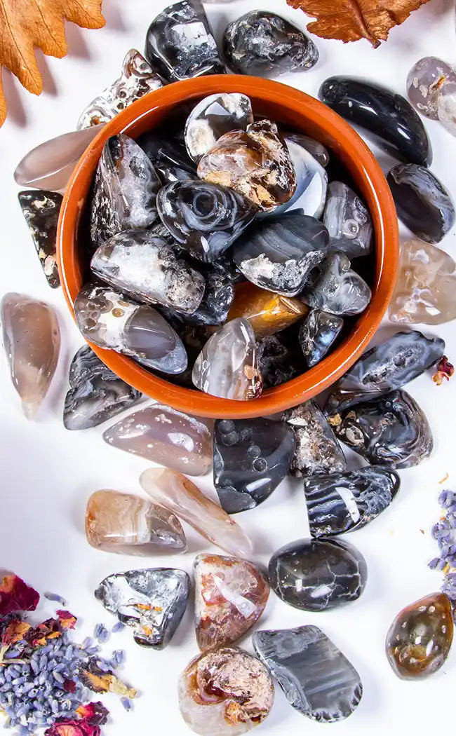 Tumbled Stones | Occo Agate-Crystals-Tragic Beautiful