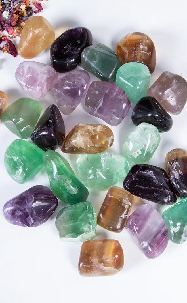 Tumbled Stones | Rainbow Fluorite-Crystals-Tragic Beautiful