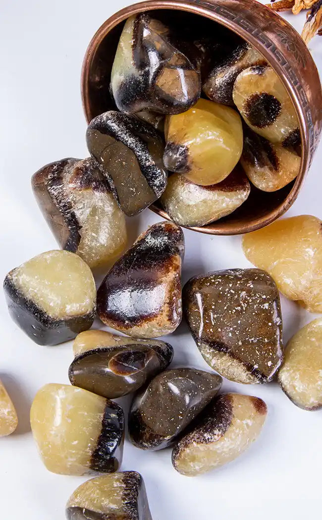 Tumbled Stones | Septarian-Crystals-Tragic Beautiful