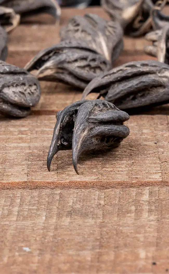 Bats Head Root | Witchcraft Herbs