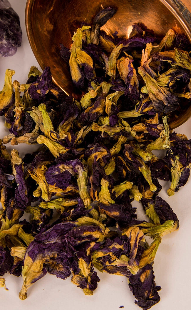 Butterfly Pea Flowers | Witchcraft Herbs-Witch Herbs-Tragic Beautiful