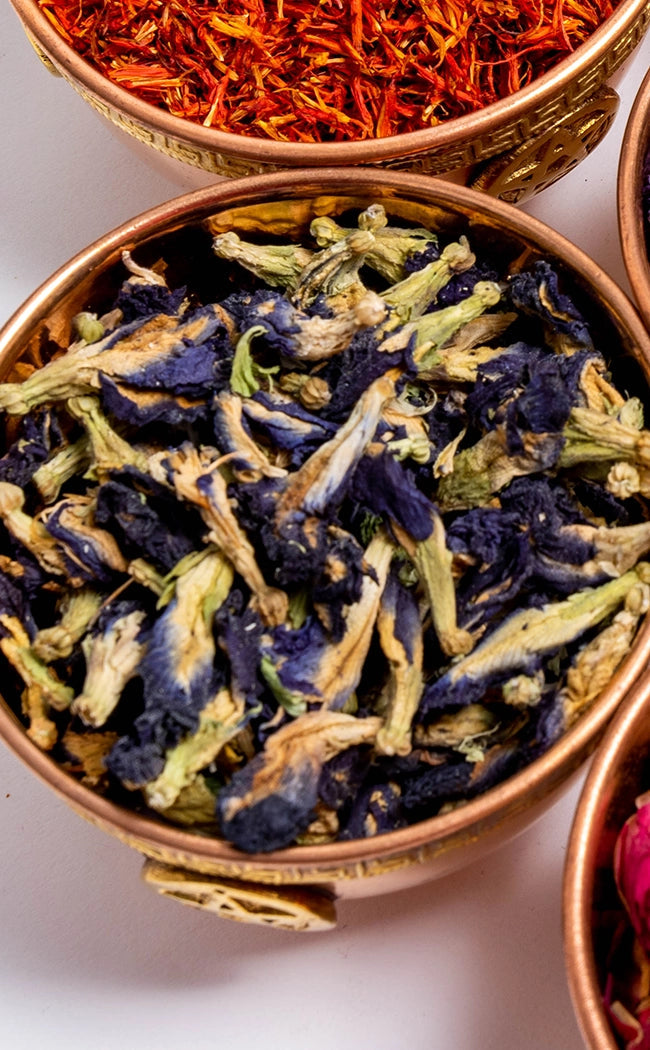 Butterfly Pea Flowers | Witchcraft Herbs-Witch Herbs-Tragic Beautiful