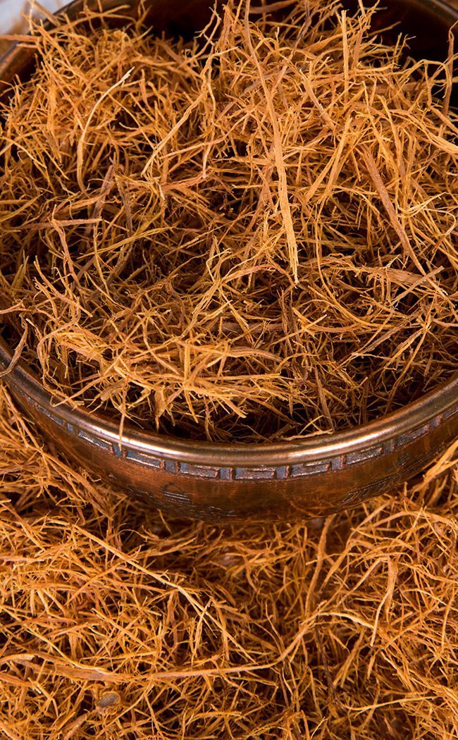 Cats Claw | Herbal Alchemy-Aether-Tragic Beautiful