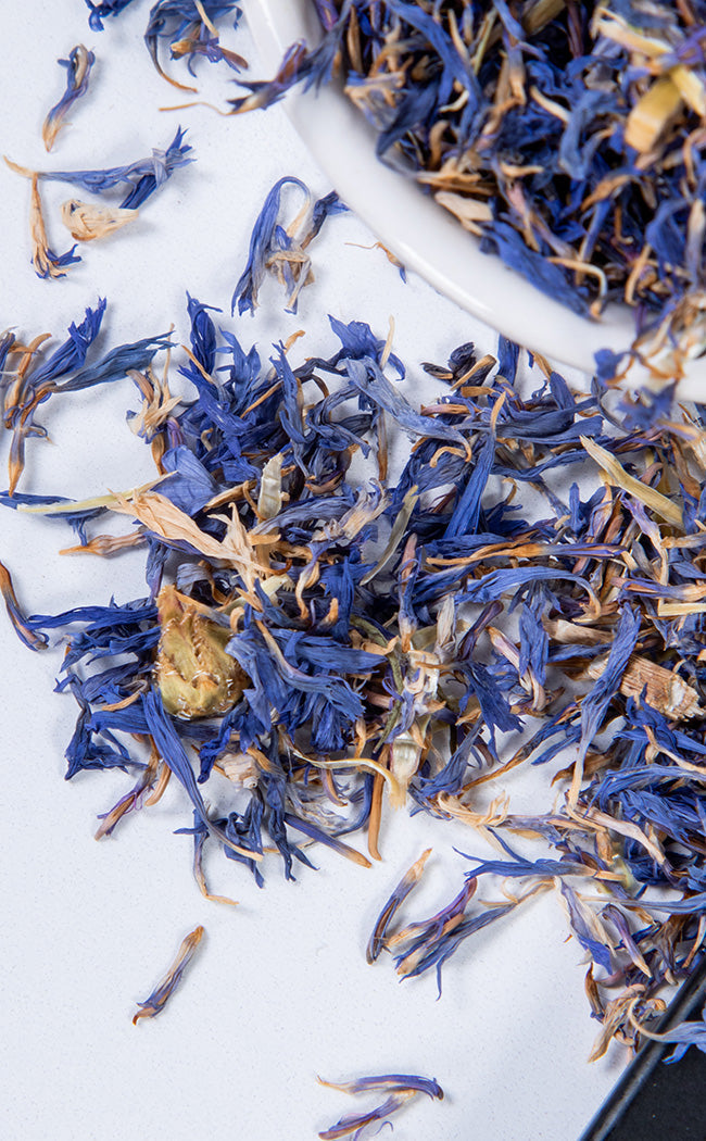 Blue Cornflower | Witchcraft Herbs-Witch Herbs-Tragic Beautiful