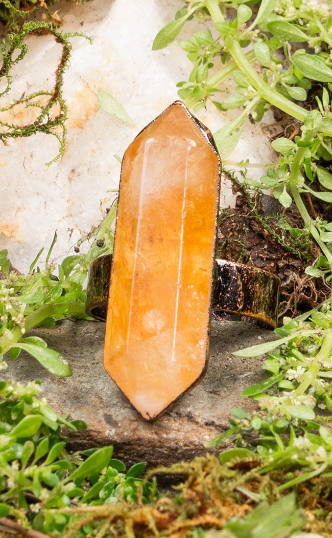 Hiding in Sunlight Citrine Ring