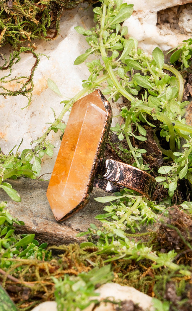 Hiding in Sunlight Citrine Ring