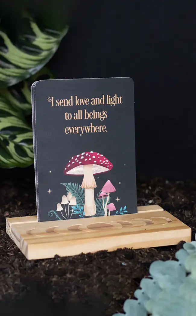 Magic Affirmation Cards on Stand