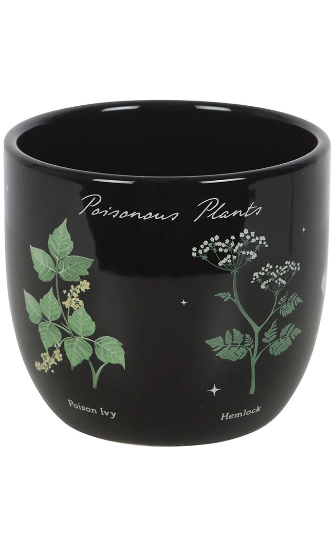 Poisonous Plants Plant Pot