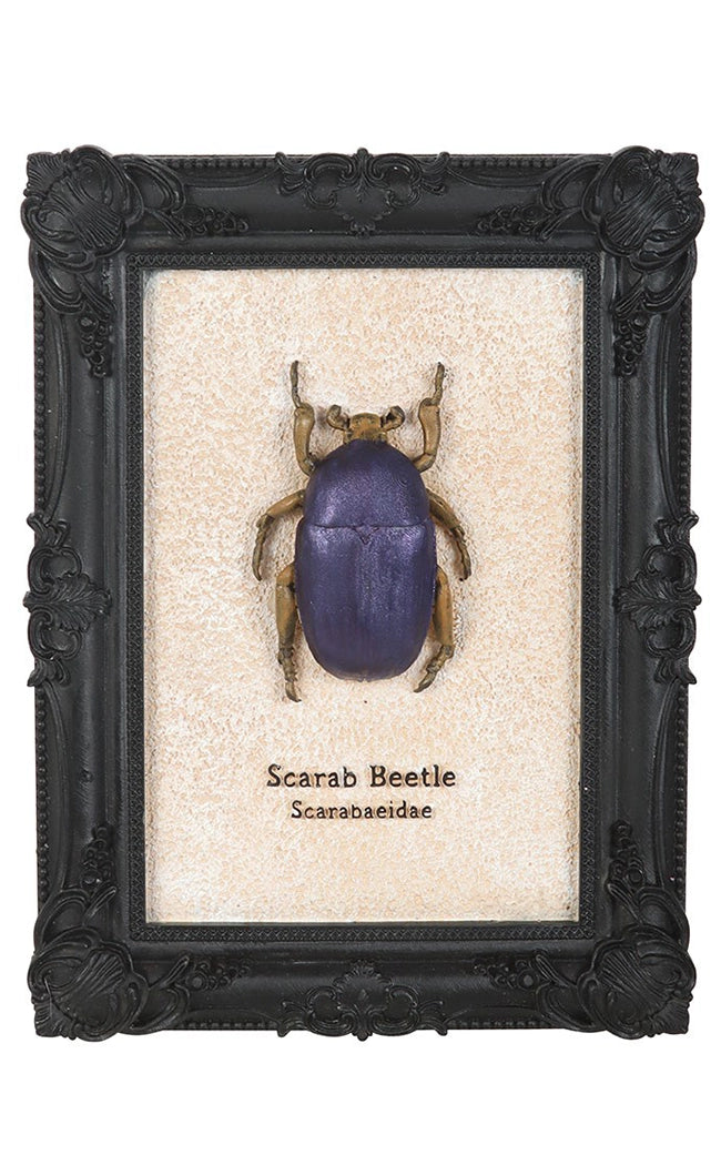 Resin Scarab Beetle in Vintage Frame