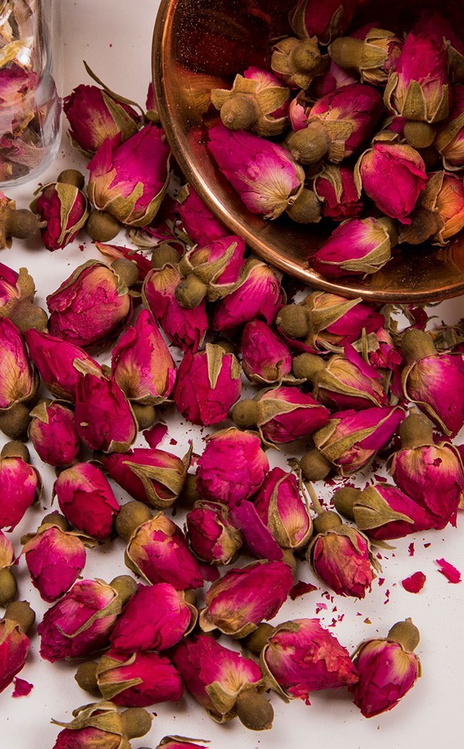 Rose Buds | Herbal Alchemy-Aether-Tragic Beautiful