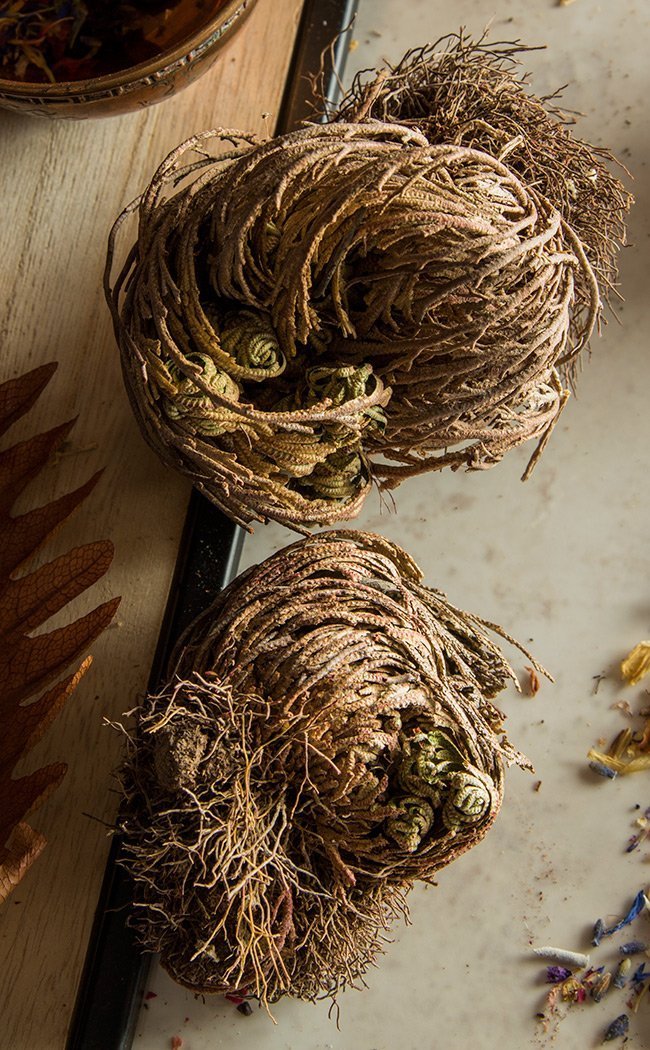 Rose of Jericho-Incense-Tragic Beautiful