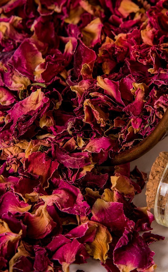 Rose Petals | Herbal Alchemy-Aether-Tragic Beautiful