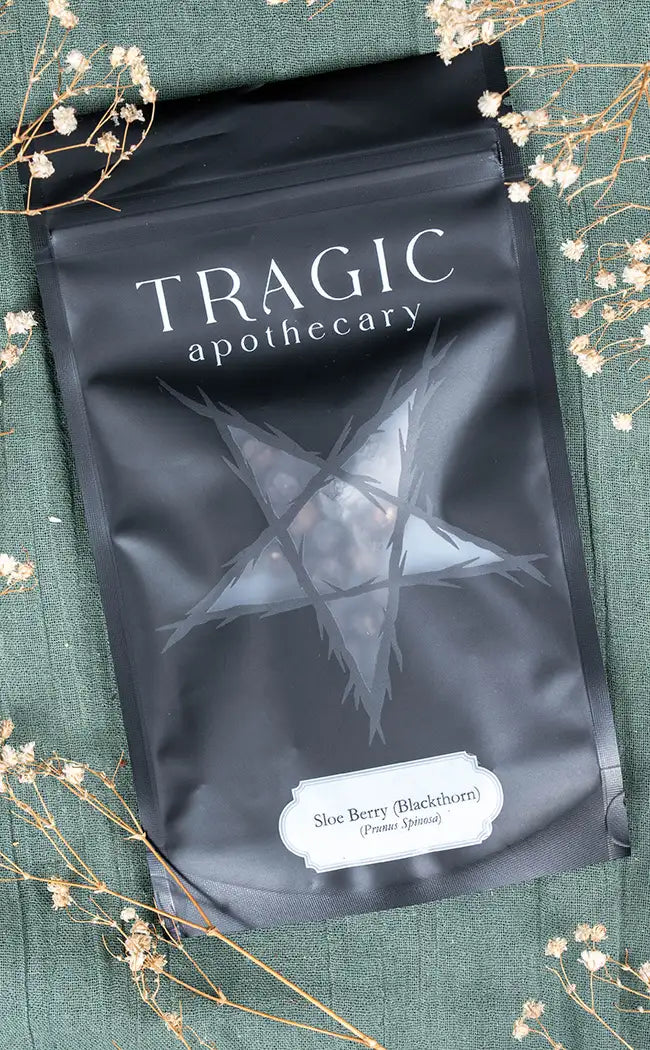 Sloe Berry / Blackthorn Berry | Witchcraft Herbs