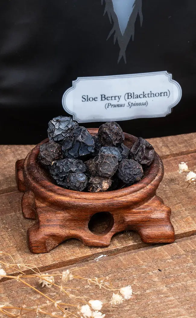 Sloe Berry / Blackthorn Berry | Witchcraft Herbs