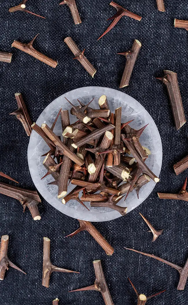 Small Hawthorn Thorns | Witchcraft Herbs