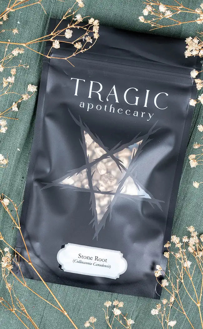 Stone Root | Witchcraft Herbs