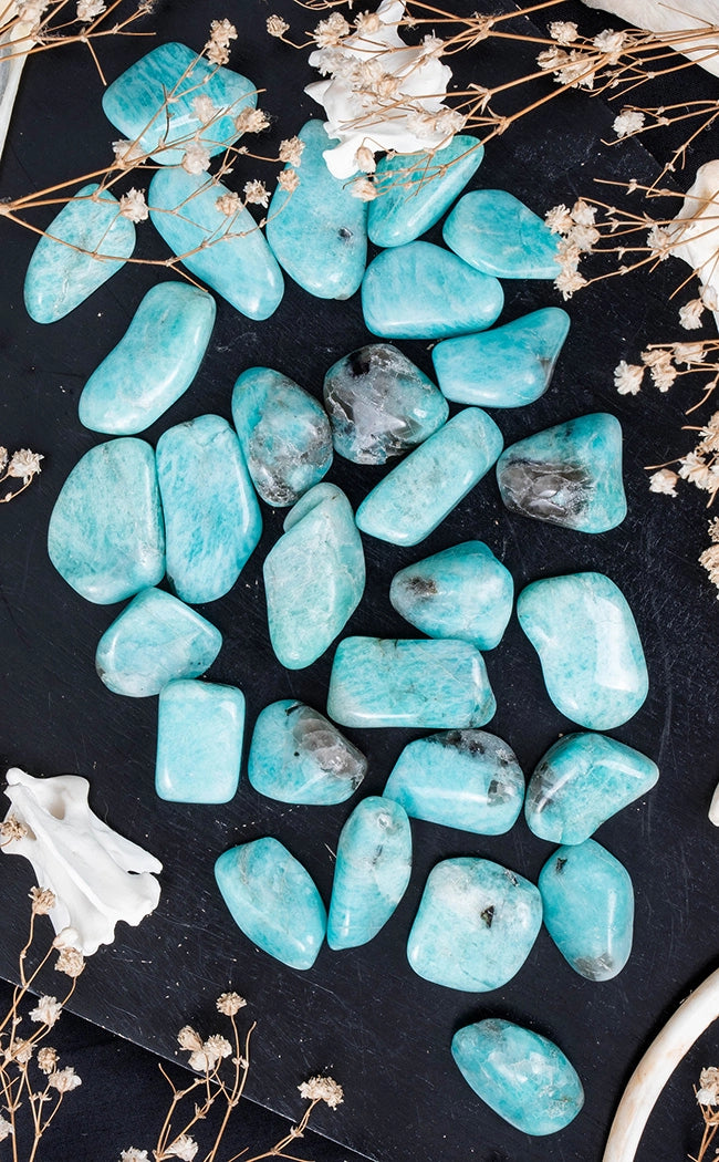 Tumbled Stones | Amazonite