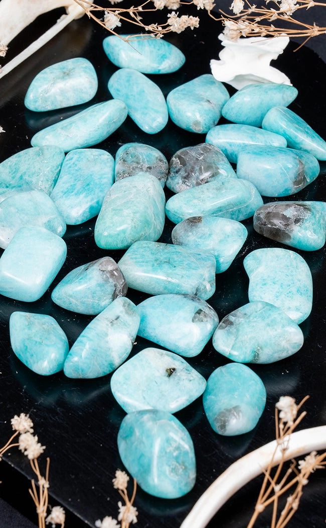 Tumbled Stones | Amazonite
