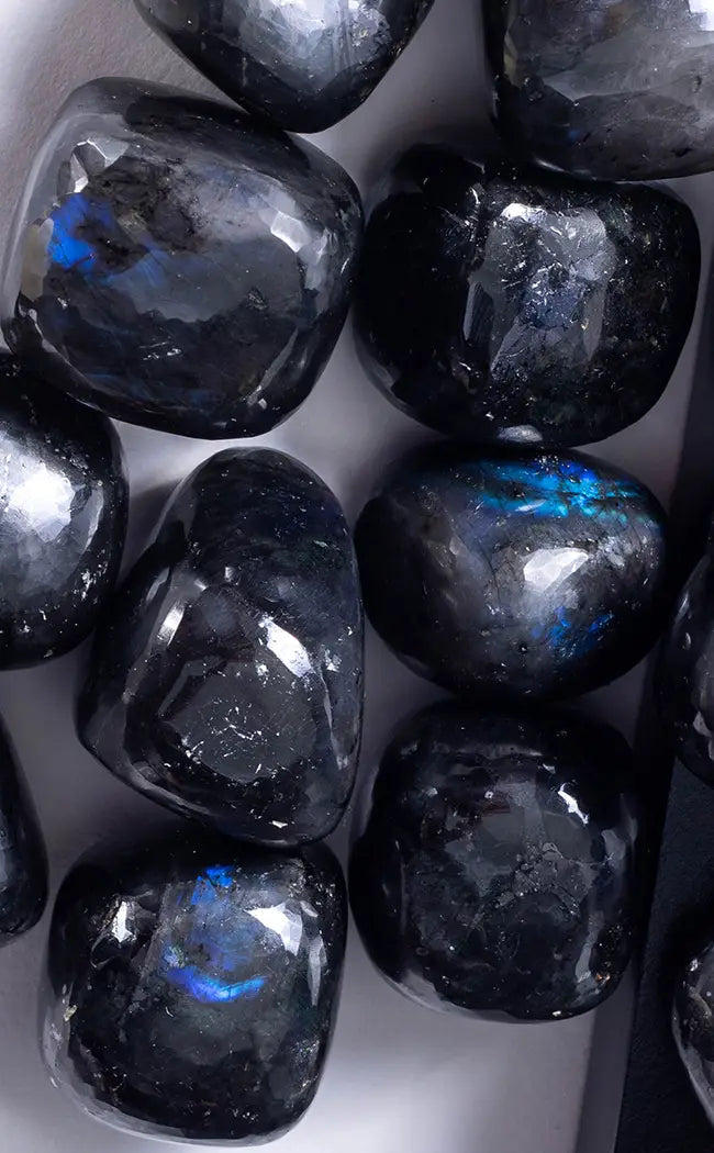 Tumbled Stones | Black Labradorite-Tumble Stones-Tragic Beautiful