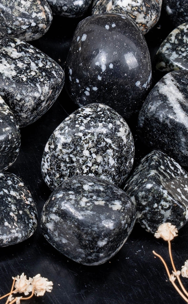 Tumbled Stones | Zebra Jasper