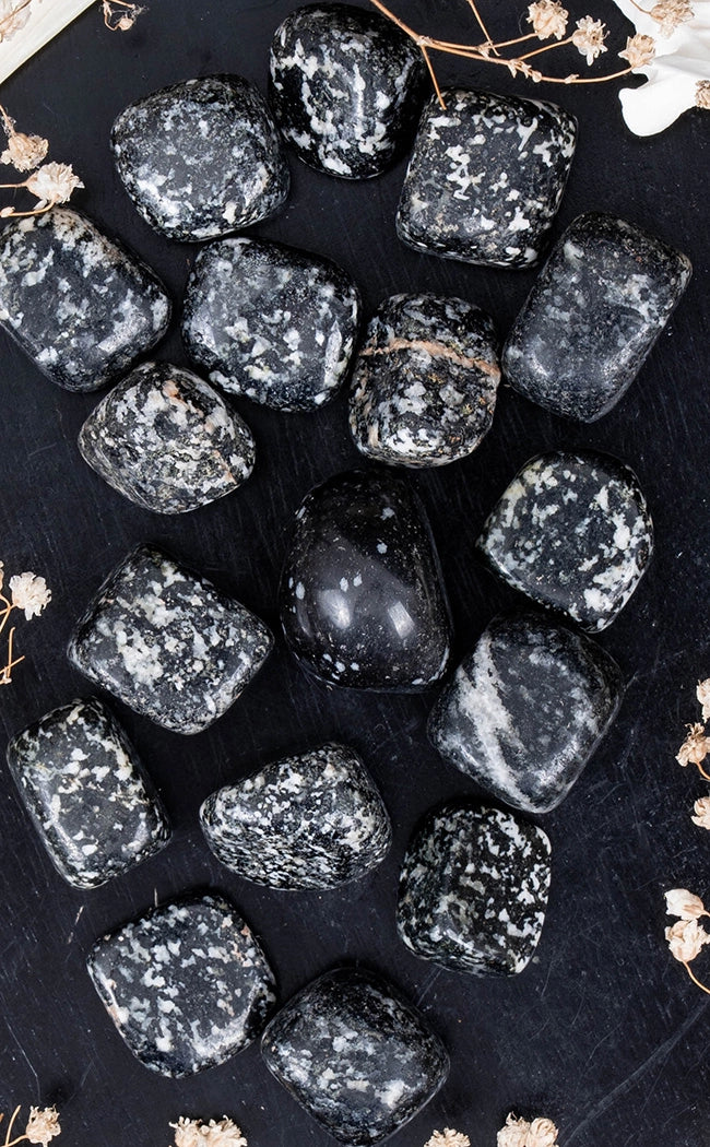 Tumbled Stones | Zebra Jasper