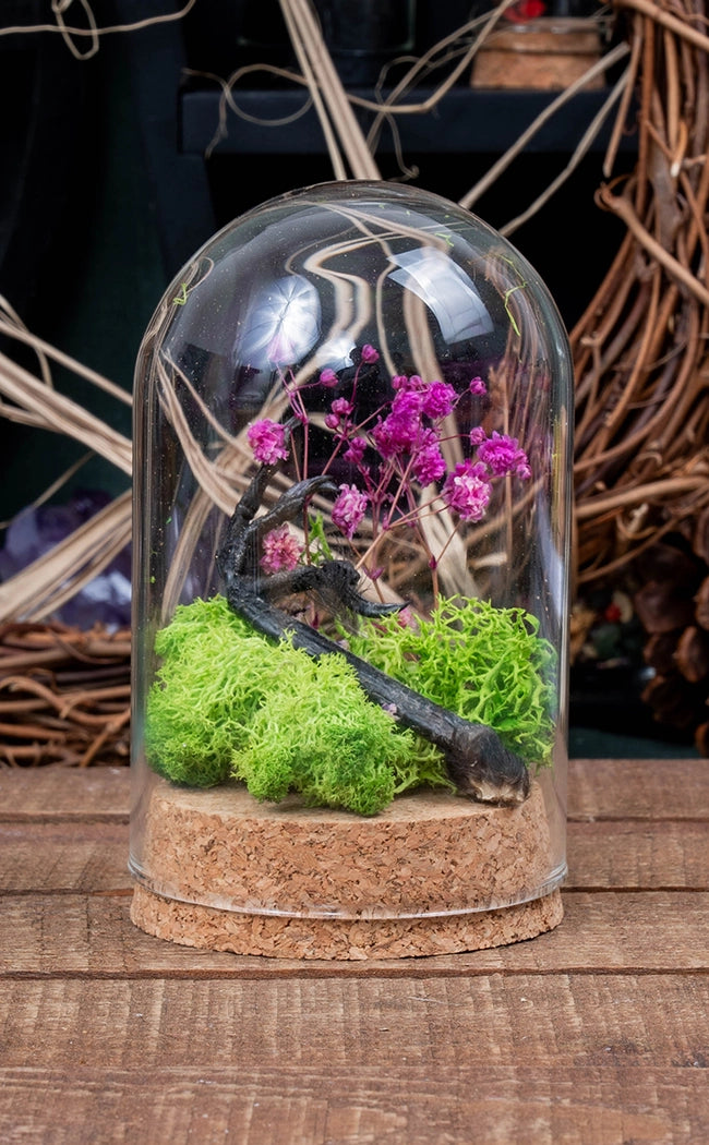 Unique Curiosity Vials | Bird Feet