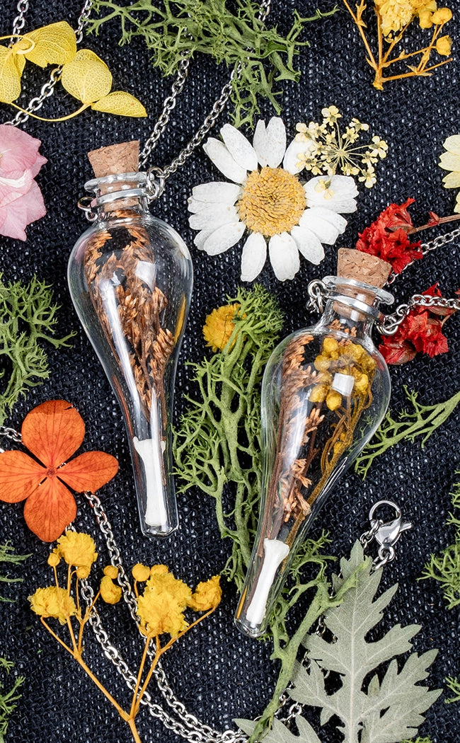 Unique Curiosity Vials | Bones