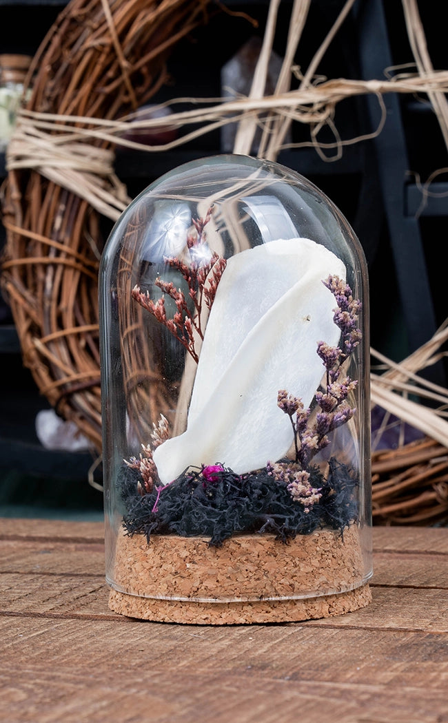 Unique Curiosity Vials | Larger Bones