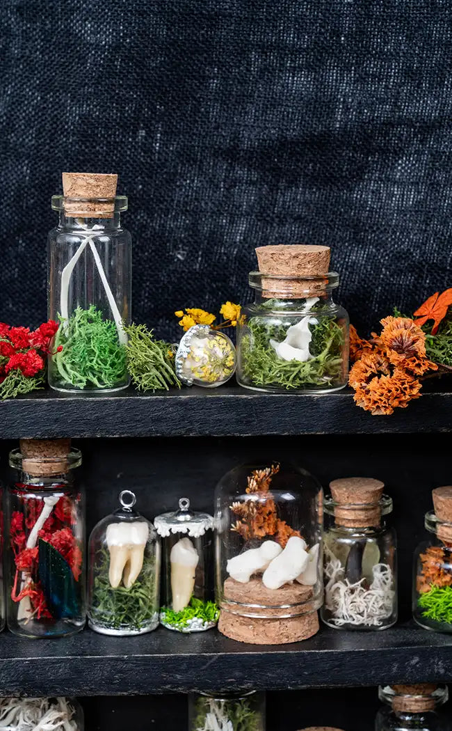 Unique Curiosity Vials | Teeth & Claw