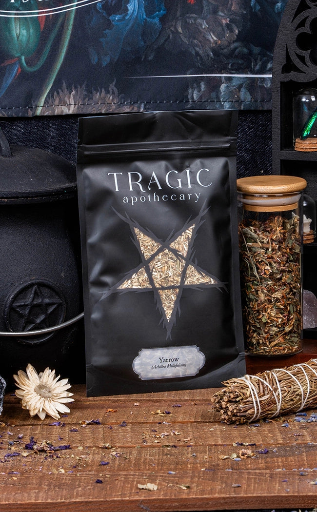 Yarrow | Herbal Alchemy