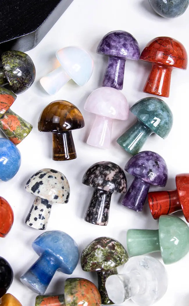 Crystal Mini Mushroom | Intuitively Picked-Crystals-Tragic Beautiful