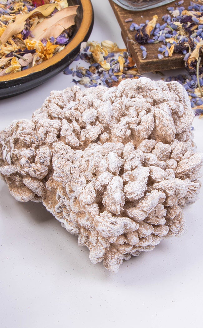 Desert Rose Cluster-Crystals-Tragic Beautiful