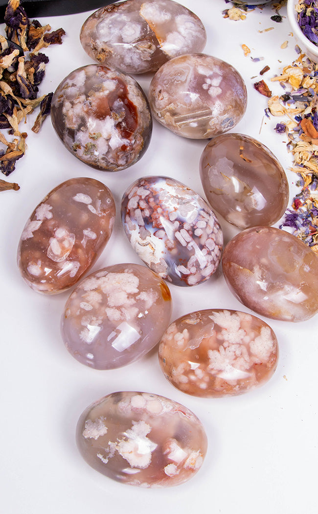 Flower Agate Palm Stone-Crystals-Tragic Beautiful