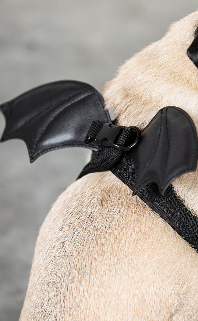 Flutter Pet Harness-Killstar-Tragic Beautiful