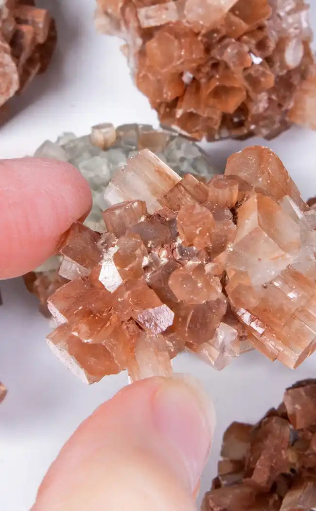 Sputnik Aragonite Clusters-Crystals-Tragic Beautiful