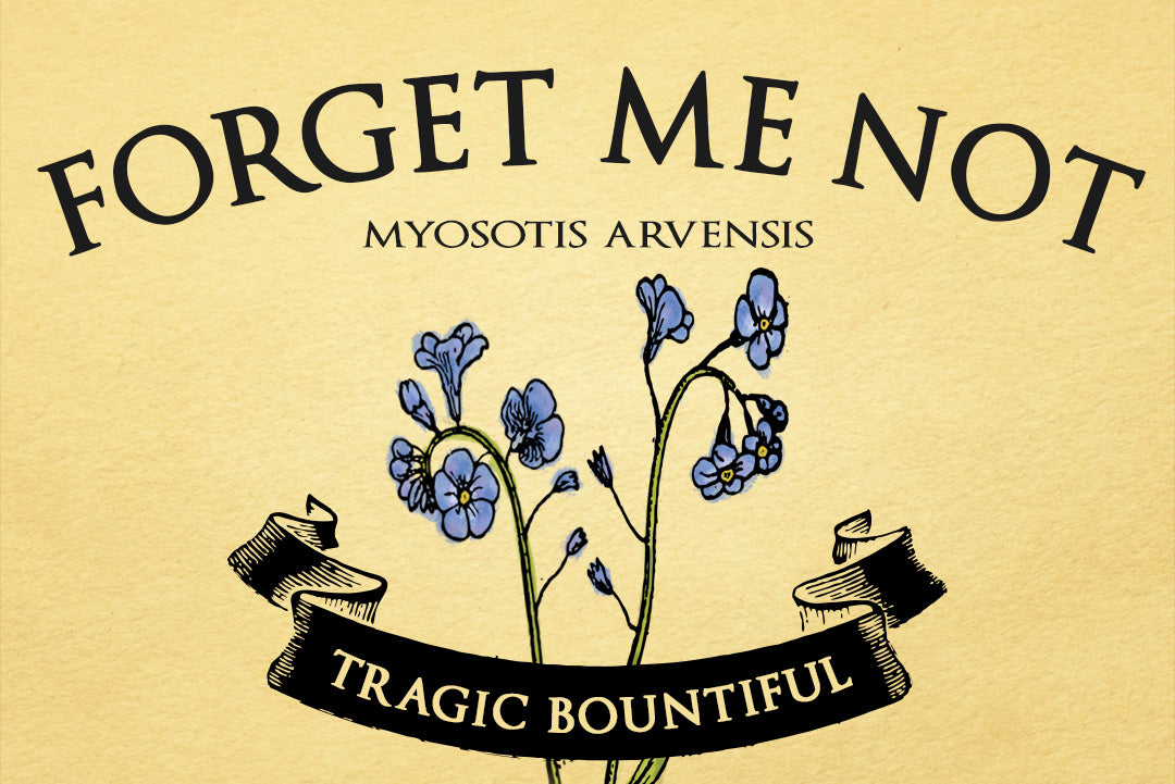 Forget Me Not | Myosotis Arvensis | Illustration of 2 forget-me-nots on a yellow background with a black ribbon banner on top of them that reads #TRAGICBOUNTIFUL