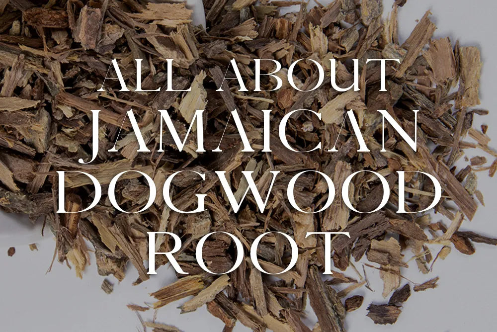 Jamaican Dogwood Root: Magickal Properties & Uses