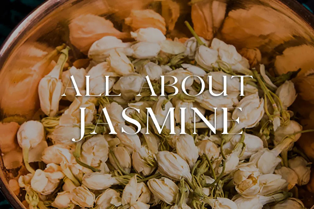 Jasmine: Magickal Properties & Uses