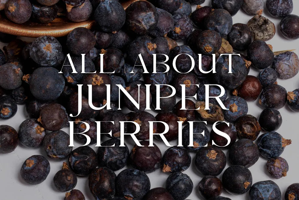 Juniper Berries: Magickal Properties & Uses