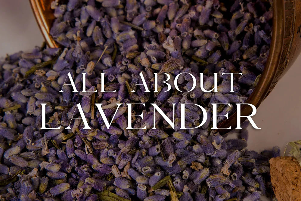 Lavender: Magickal Properties & Uses