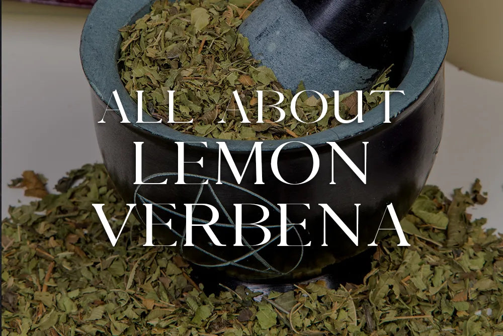 Lemon Verbena: Magickal Properties & Uses