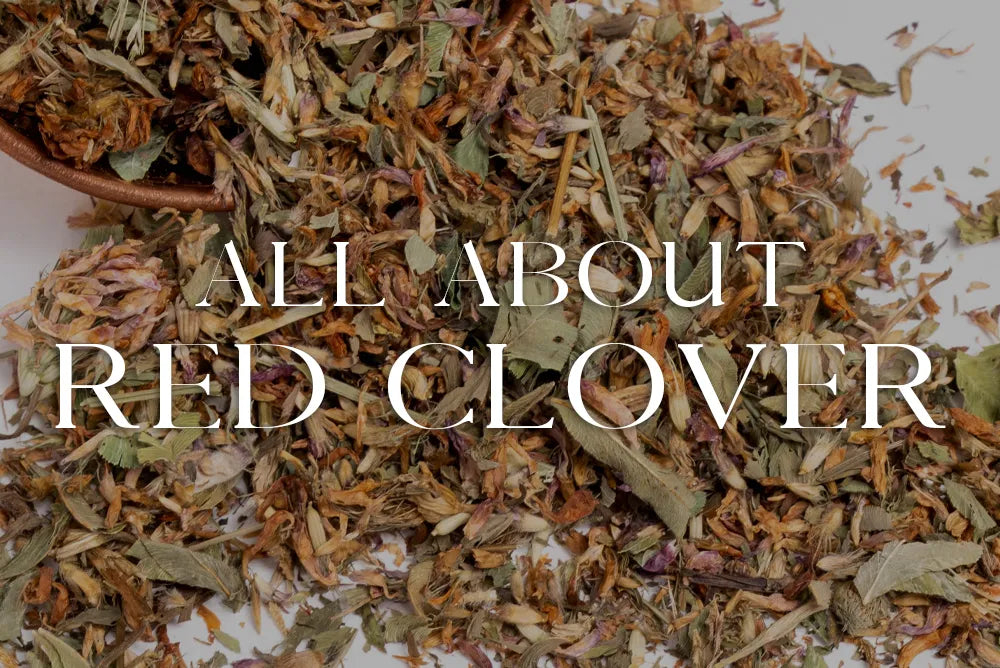 Red Clover: Magickal Properties & Uses