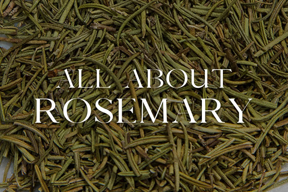 Rosemary: Magickal Properties & Uses