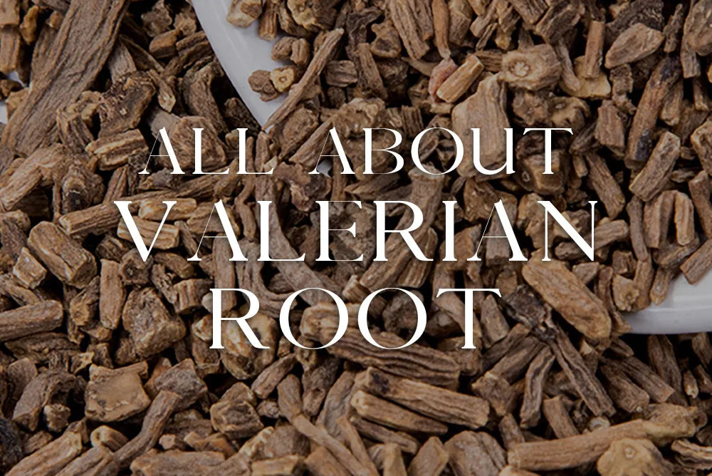 Valerian Root: Magickal Properties & Uses