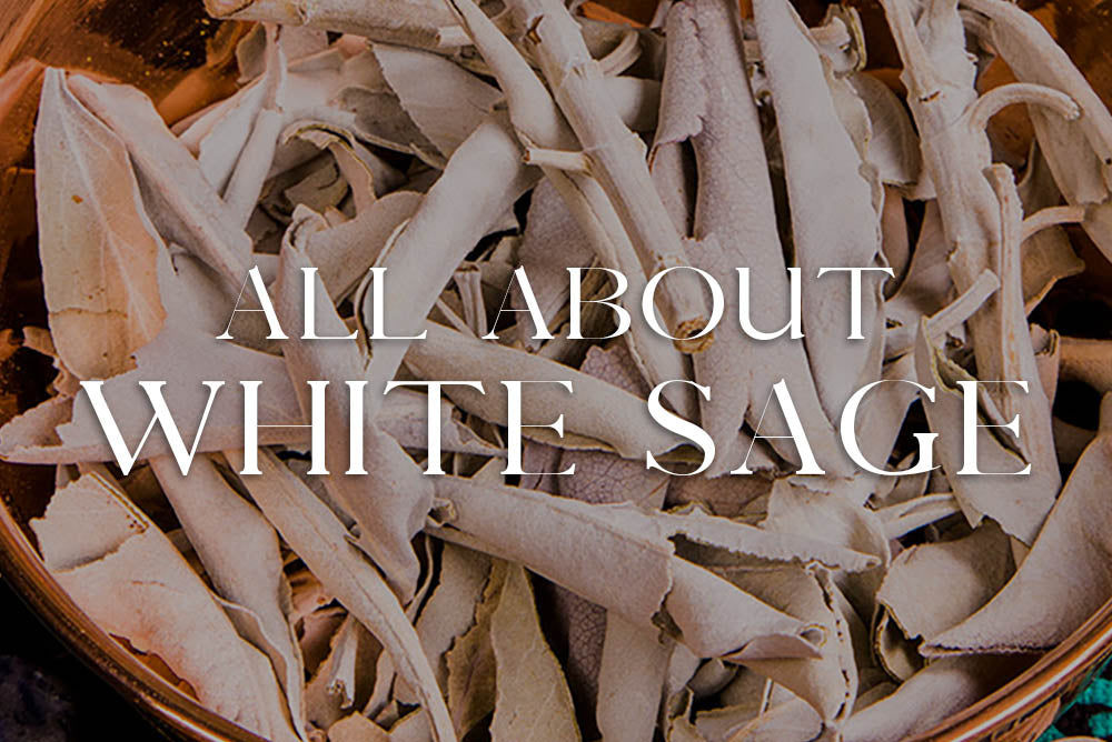 White Sage: Magickal Properties & Uses