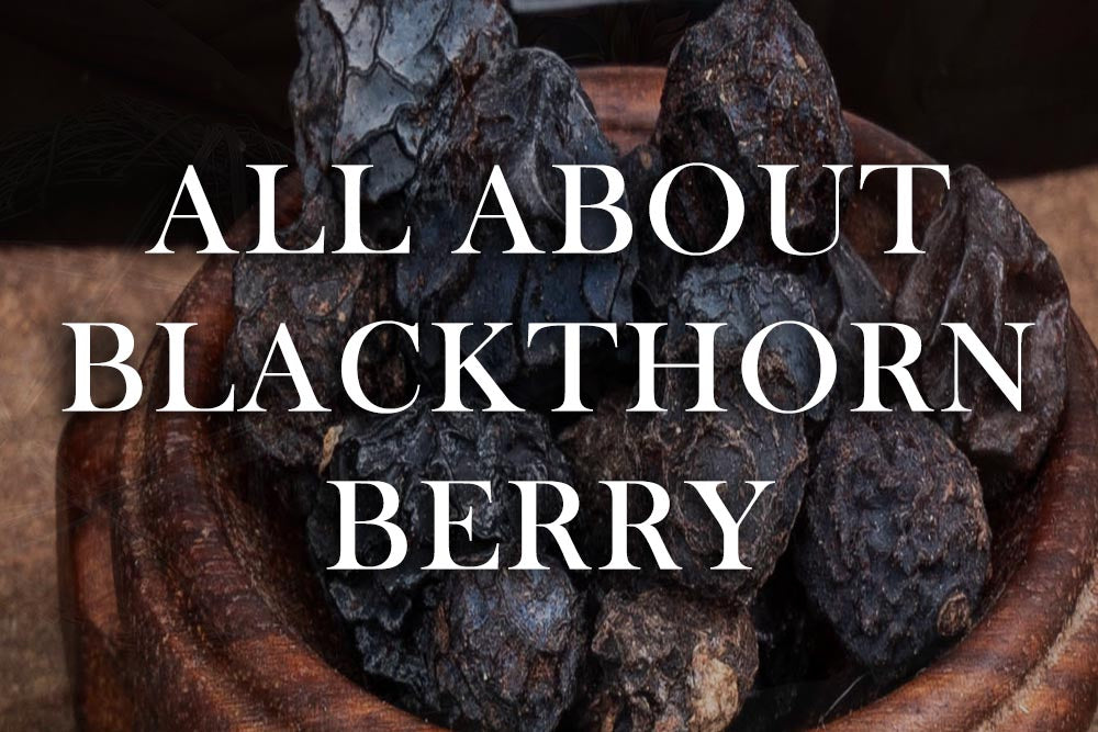 Sloe Berry / Blackthorn Berry: Magickal Properties & Uses