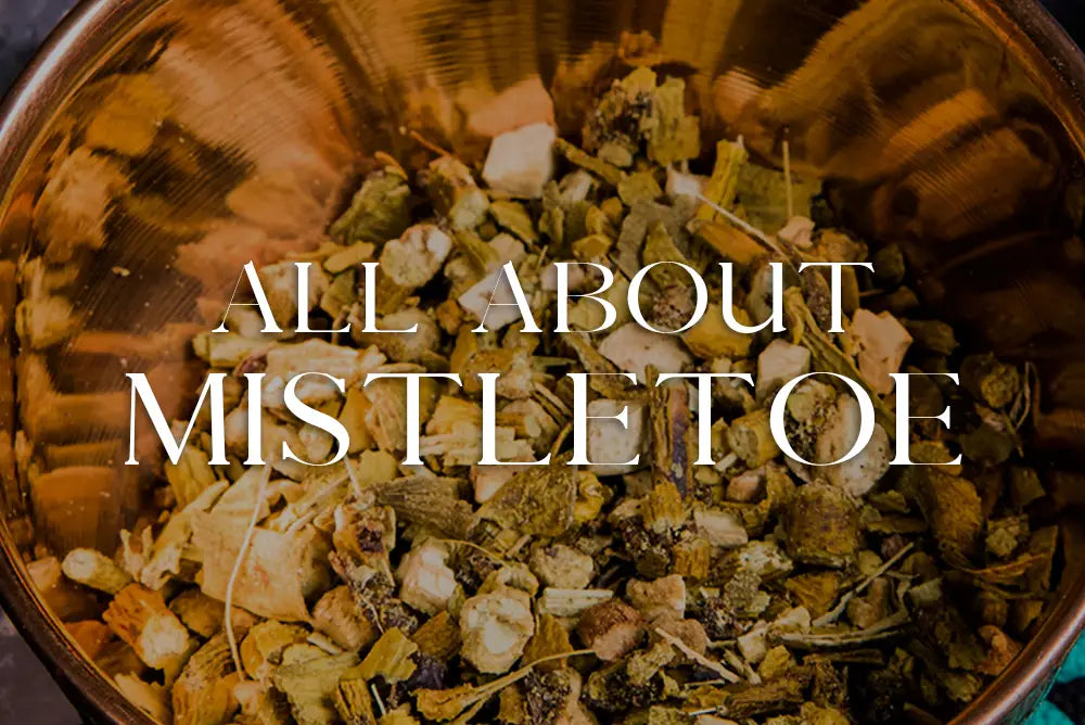 Mistletoe: Magickal Properties & Uses